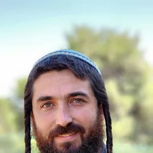 צבי ידידיה סוכות